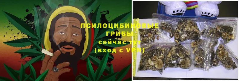 сколько стоит  Сафоново  Псилоцибиновые грибы Magic Shrooms 